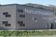 naturmuseum web